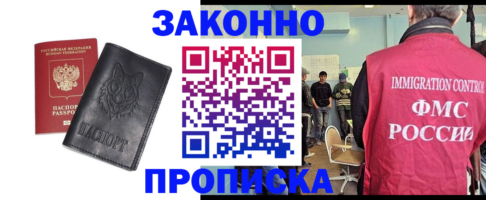 где прописаться в Камышине